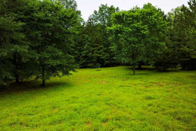 1951 Fm 1514 Road, Coldspring, TX 77331