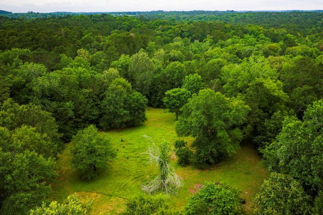 1951 Fm 1514 Road, Coldspring, TX 77331