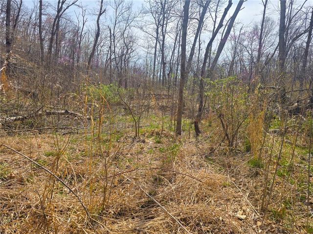 32555 Sagrada Beach Road, Lincoln, MO 65338