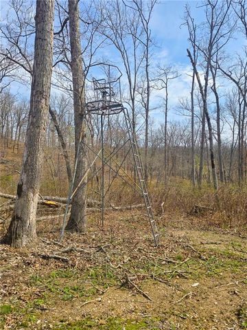 32555 Sagrada Beach Road, Lincoln, MO 65338