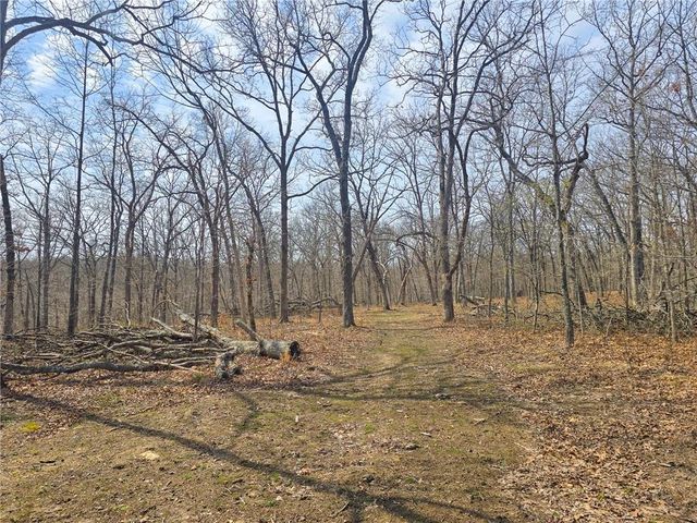 32555 Sagrada Beach Road, Lincoln, MO 65338