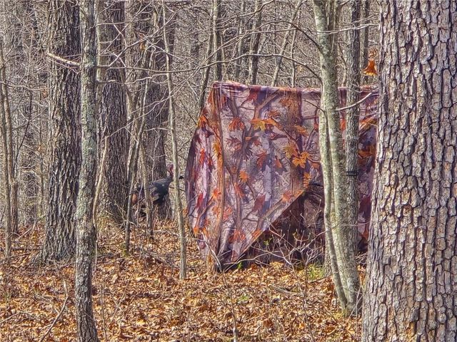 32555 Sagrada Beach Road, Lincoln, MO 65338