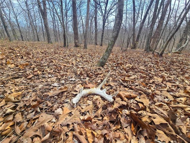 32555 Sagrada Beach Road, Lincoln, MO 65338