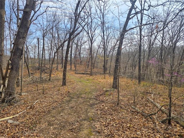 32555 Sagrada Beach Road, Lincoln, MO 65338