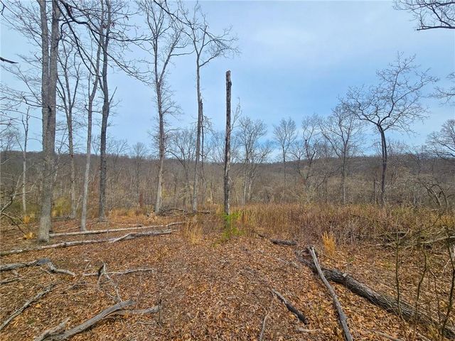 32555 Sagrada Beach Road, Lincoln, MO 65338