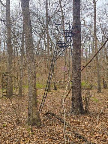 32555 Sagrada Beach Road, Lincoln, MO 65338