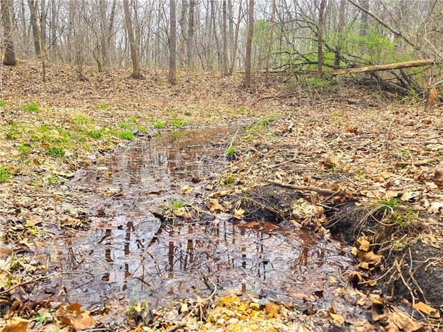 32555 Sagrada Beach Road, Lincoln, MO 65338