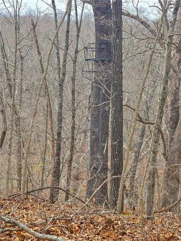 32555 Sagrada Beach Road, Lincoln, MO 65338