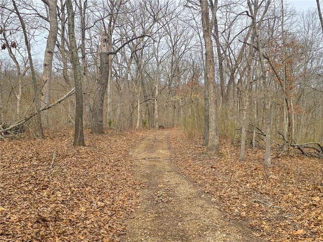 32555 Sagrada Beach Road, Lincoln, MO 65338