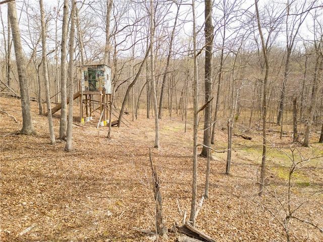 32555 Sagrada Beach Road, Lincoln, MO 65338