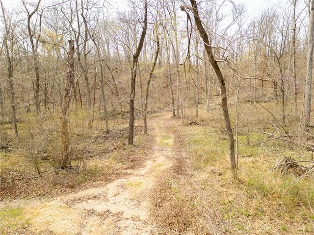 32555 Sagrada Beach Road, Lincoln, MO 65338