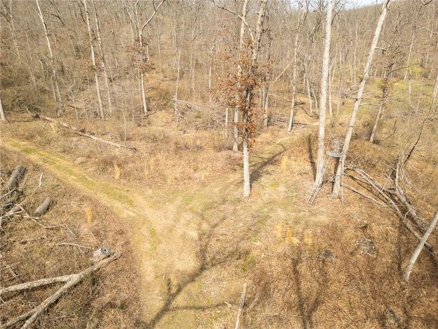 32555 Sagrada Beach Road, Lincoln, MO 65338