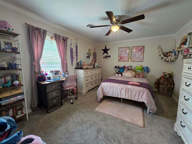 2601 Hatcher Dr, Paragould, AR 72450