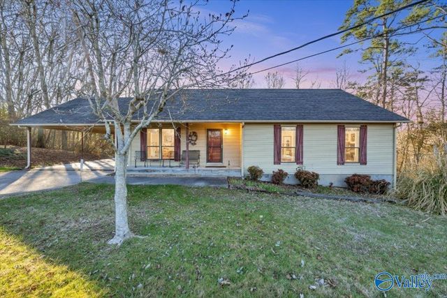 1315 Jacobs Avenue, Bridgeport, AL 35740