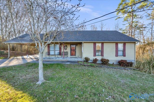 1315 Jacobs Avenue, Bridgeport, AL 35740