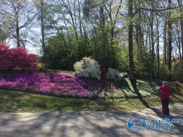 1315 Jacobs Avenue, Bridgeport, AL 35740