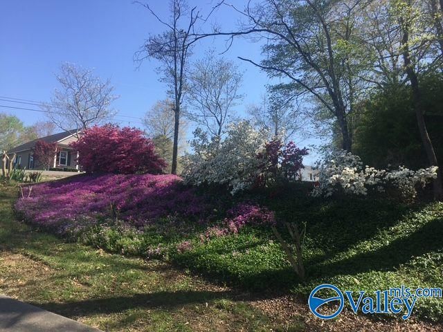 1315 Jacobs Avenue, Bridgeport, AL 35740