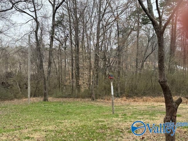 1315 Jacobs Avenue, Bridgeport, AL 35740