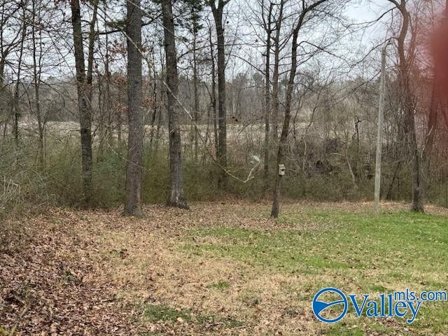 1315 Jacobs Avenue, Bridgeport, AL 35740