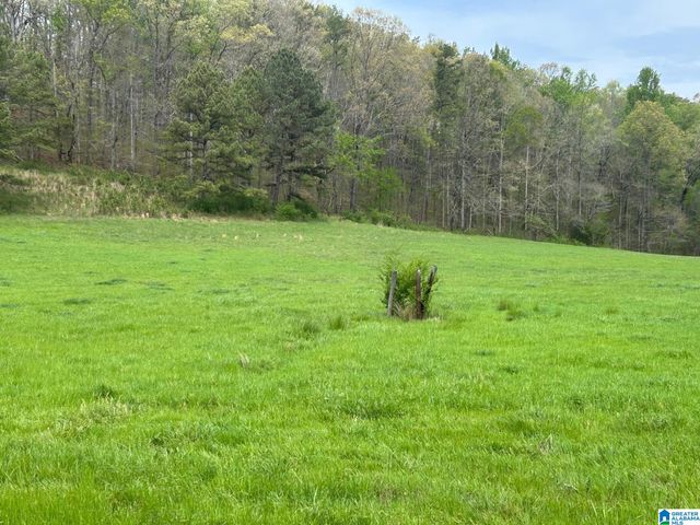499 JANNEY ROAD, Ohatchee, AL 36271