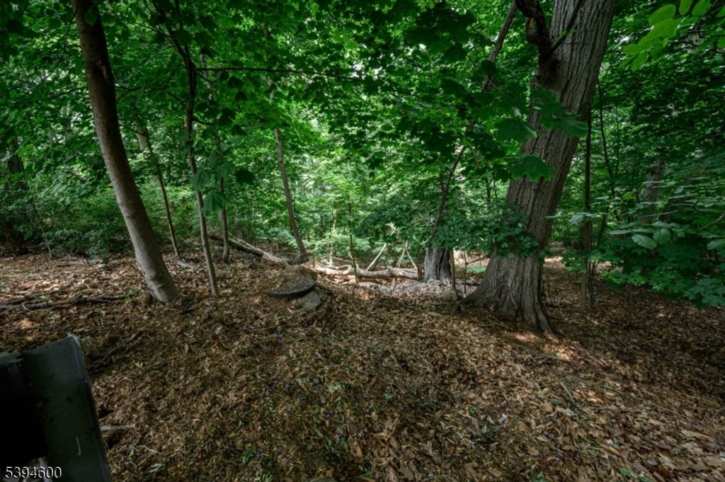 39 Forest Dr, Bloomfield Twp., NJ 07003 — photo 2