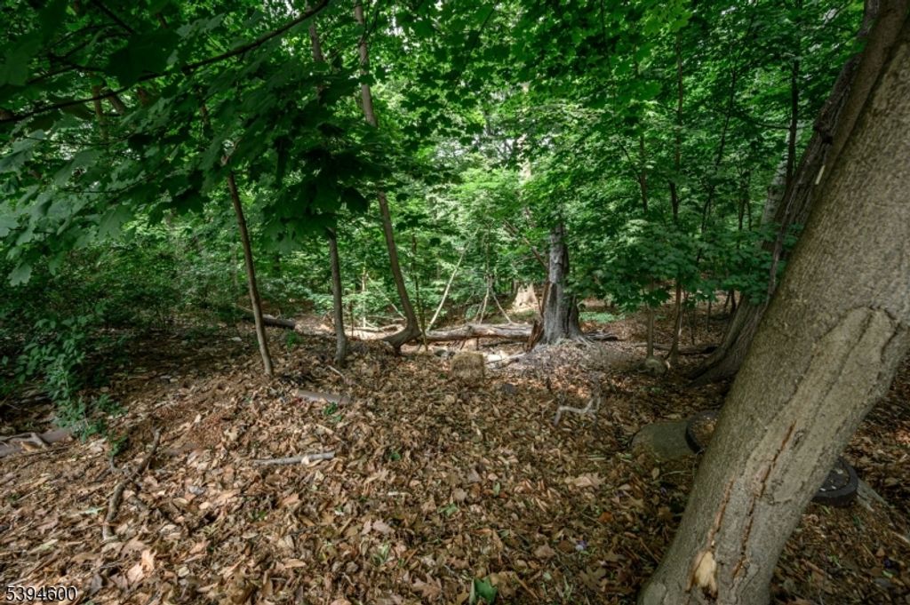 39 Forest Dr, Bloomfield Twp., NJ 07003 — photo 5