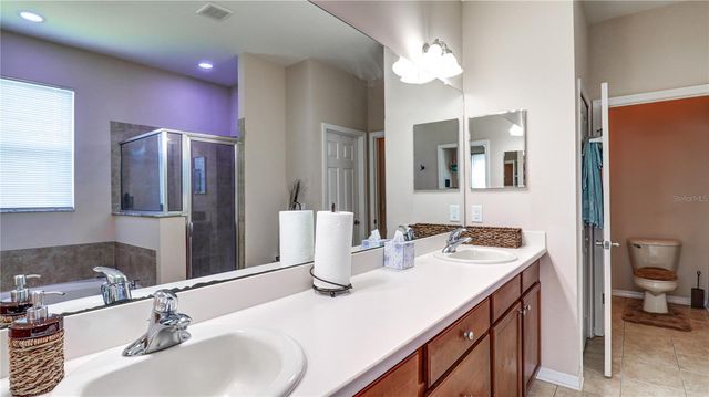 13659 ARTESA BELL DRIVE, Riverview, FL 33579