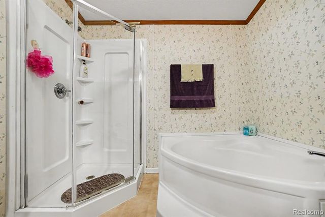 4772 S Bard Road, Beaverton, MI 48612