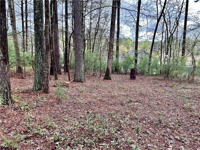 305 Westwood Court, Dallas, GA 30132