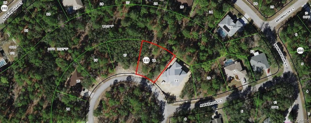 10 Asparagus Court, Homosassa, FL 34446