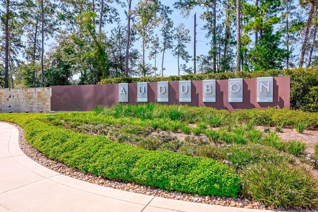 40403 Bay Warbler Way, Magnolia, TX 77354