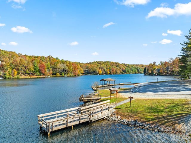 71 Elseetos Drive, Brevard, NC 28712