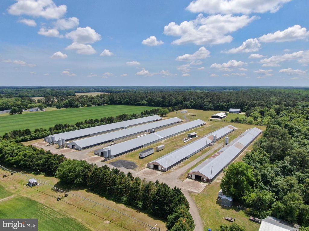 33950 EVANS RD, Laurel, DE 19956