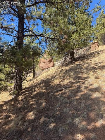 288 Troy Drive, Cripple Creek, CO 80813