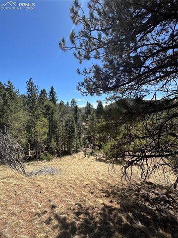 288 Troy Drive, Cripple Creek, CO 80813