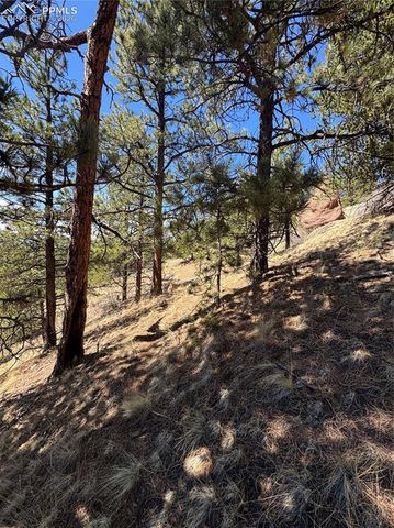288 Troy Drive, Cripple Creek, CO 80813