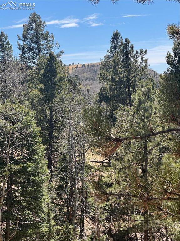 288 Troy Drive, Cripple Creek, CO 80813 — photo 4