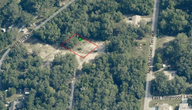 6482 N Bluebonnet Drive, Hernando, FL 34442