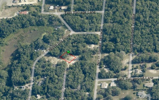 6482 N Bluebonnet Drive, Hernando, FL 34442