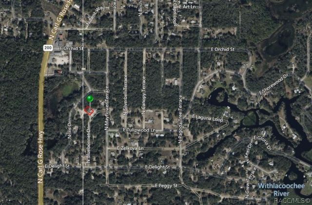 6482 N Bluebonnet Drive, Hernando, FL 34442