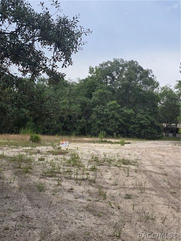 6482 N Bluebonnet Drive, Hernando, FL 34442
