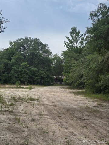 6482 N Bluebonnet Drive, Hernando, FL 34442