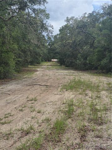 6482 N Bluebonnet Drive, Hernando, FL 34442
