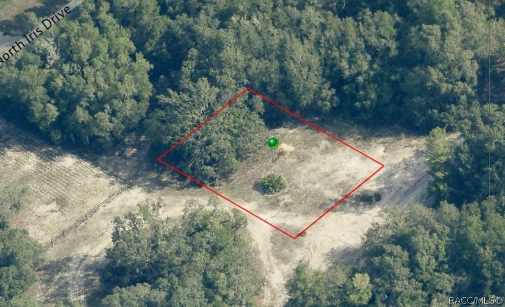 6482 N Bluebonnet Drive, Hernando, FL 34442