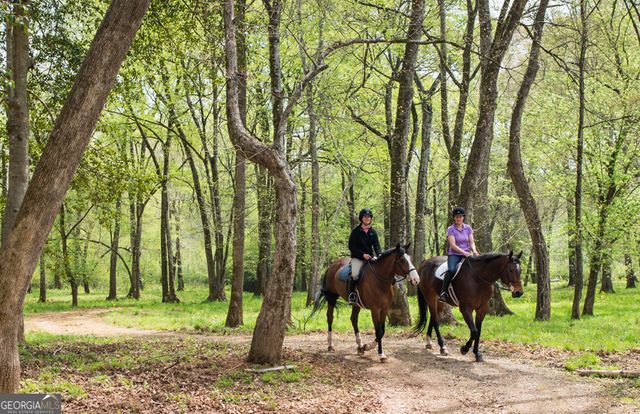 1081 Apalachee Ridge, Madison, GA 30650