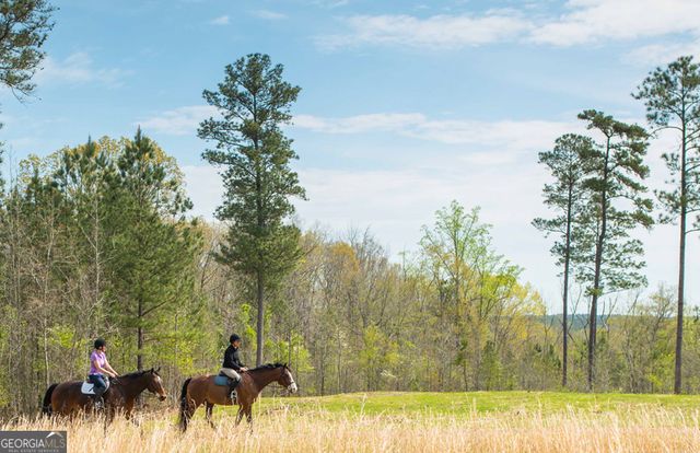 1081 Apalachee Ridge, Madison, GA 30650