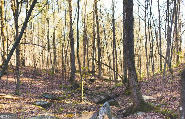 1081 Apalachee Ridge, Madison, GA 30650