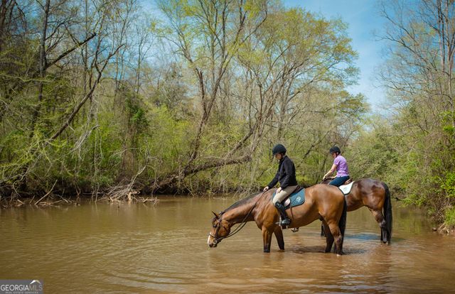 1081 Apalachee Ridge, Madison, GA 30650