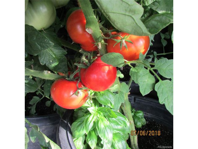 8960 County Road 164, Salida, CO 81201