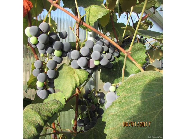 8960 County Road 164, Salida, CO 81201